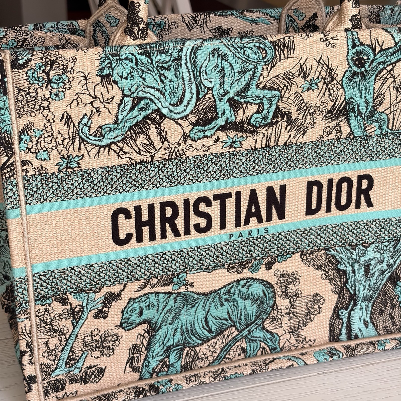 Christian Dior Medium Book Tote