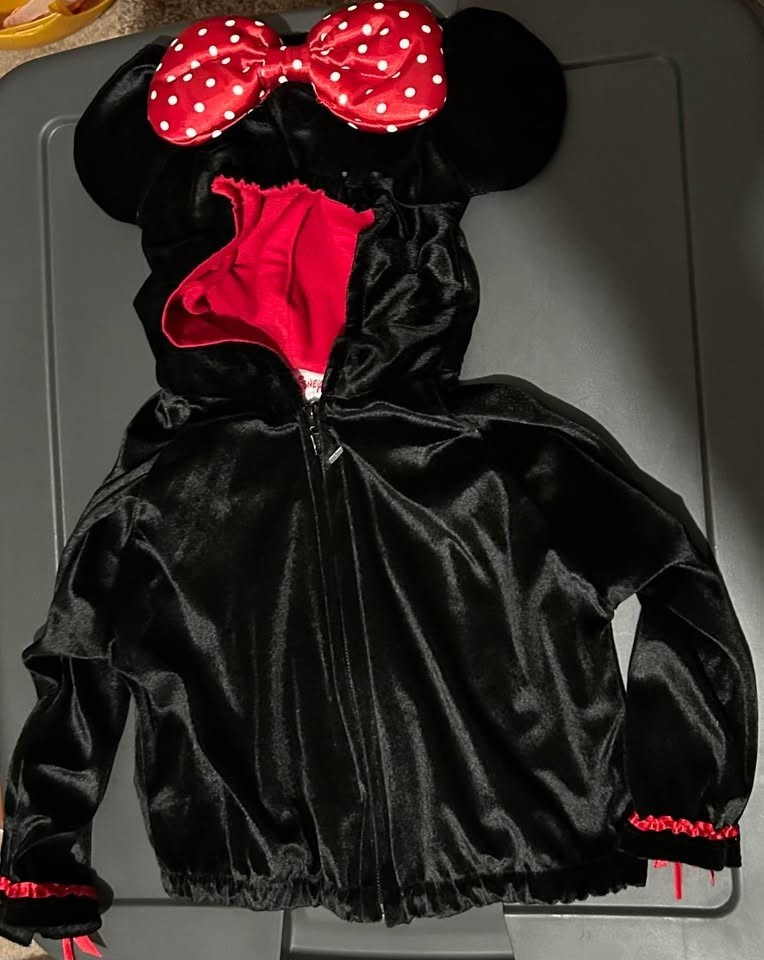Disney Girl Baby outfit