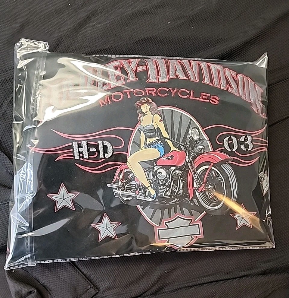 Harley Davidson Mens Button Up V-Twin Power Biker Shirt Black Sz L | 19