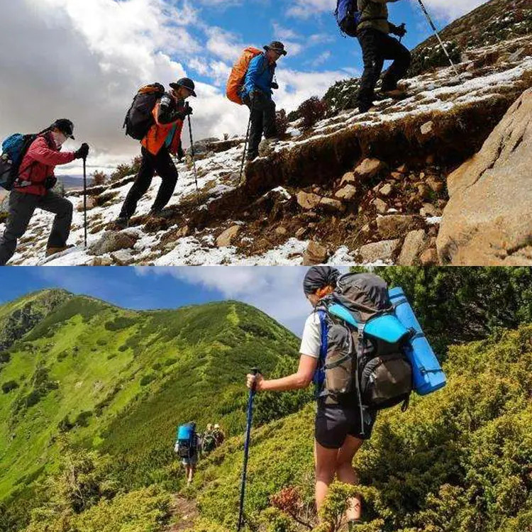 Trekking Poles Nordic Walking Hiking Sticks Anti-shock Adjustable Alpenstock