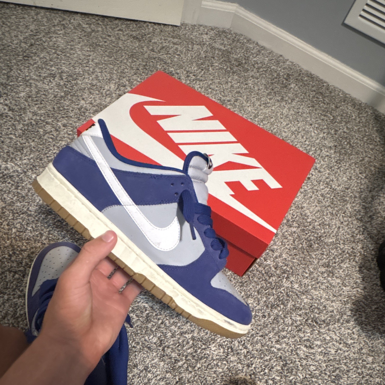 Nike Dunk Men’s Blue/Gray/White Colorblock Low Top Lace-Up Sneakers Gum