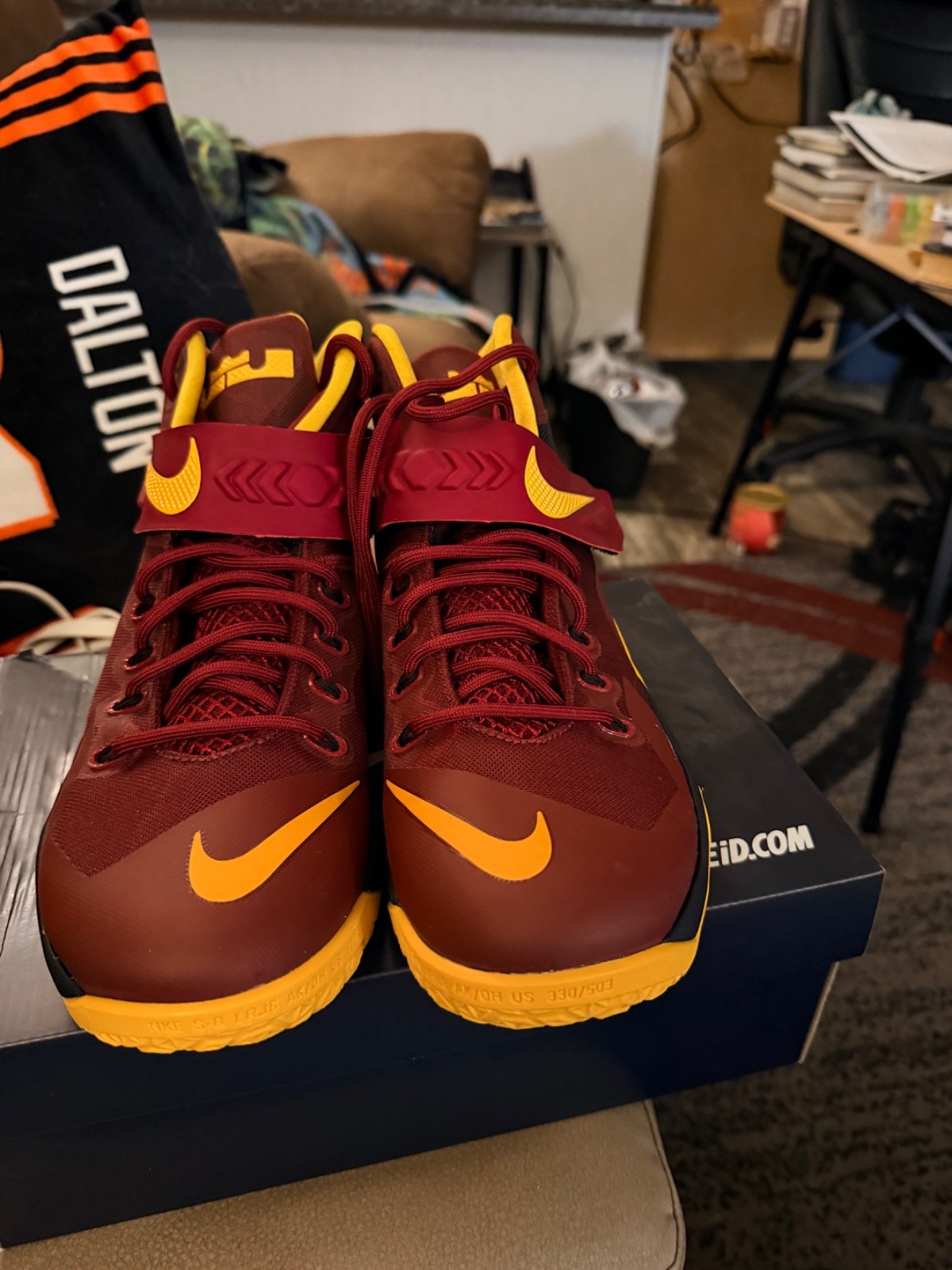 custom Nike iD LeBron sneakers (2015). Return of the King