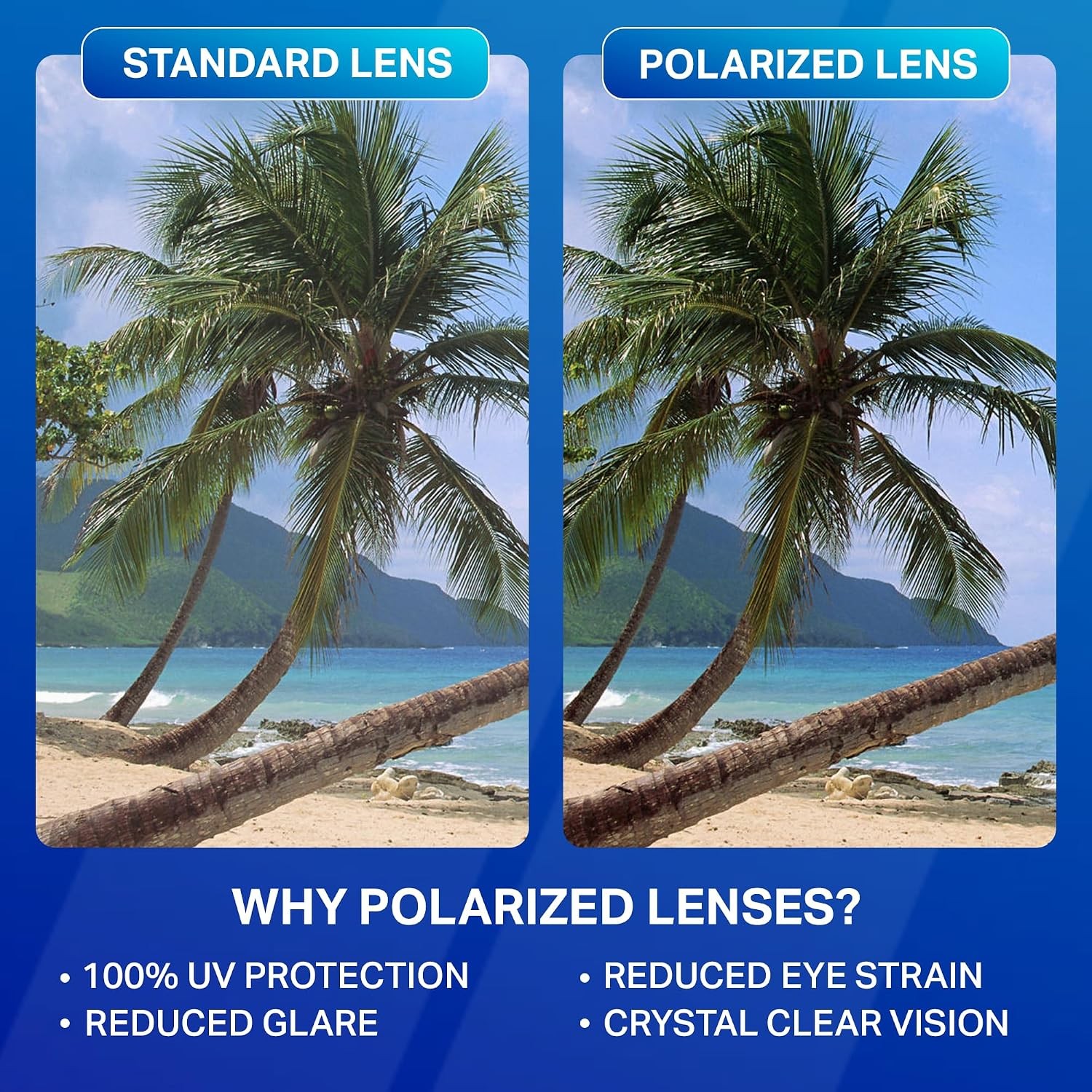 Millenia X2 Polarized Sunglasses Flat Mirrored Lens UV400 Protection Men Women