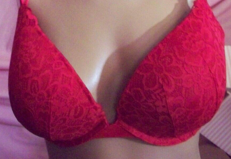 38D Red FLORAL LACE w Mesh Wings Extreme Lift Victorias Secret Plunge PU UW Bra