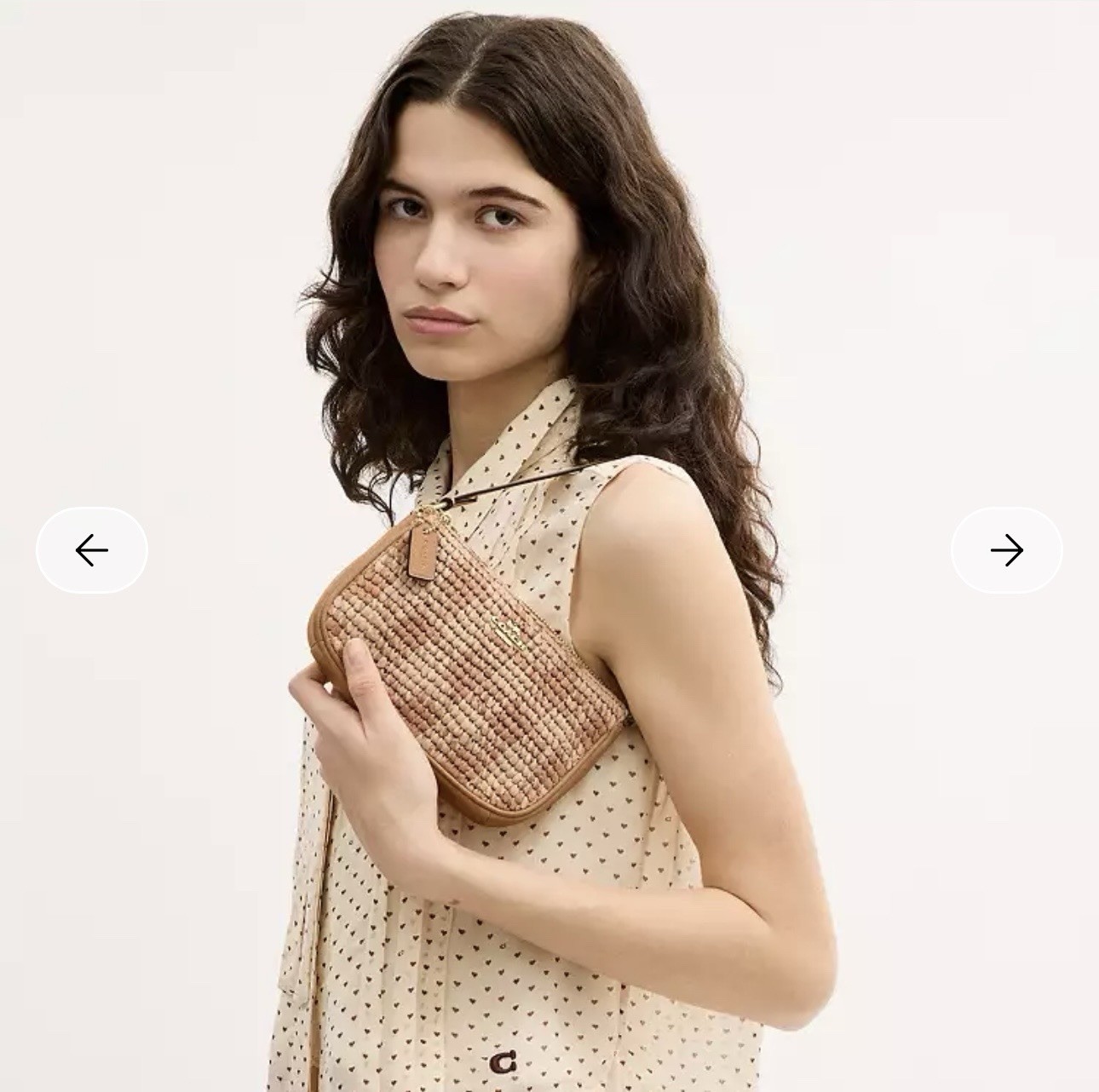 Coach Nolita 19 Gingham Straw Small Shoulder Bag Zip Closure with Gold Details
