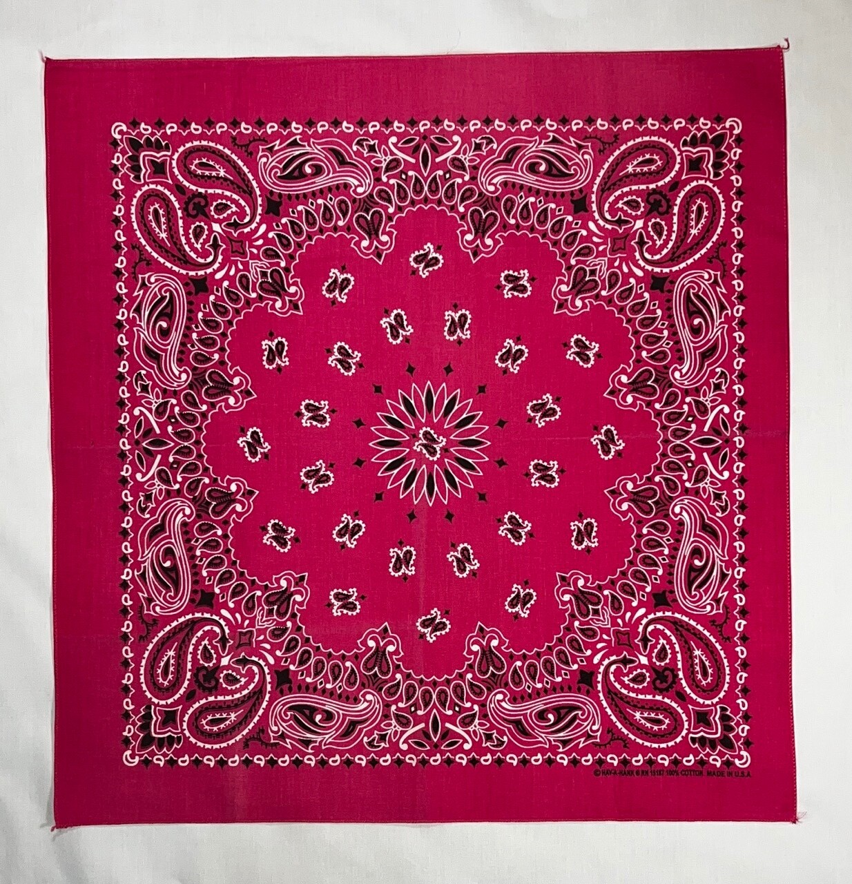 Hot Pink Paisley 22×22 Bandanna