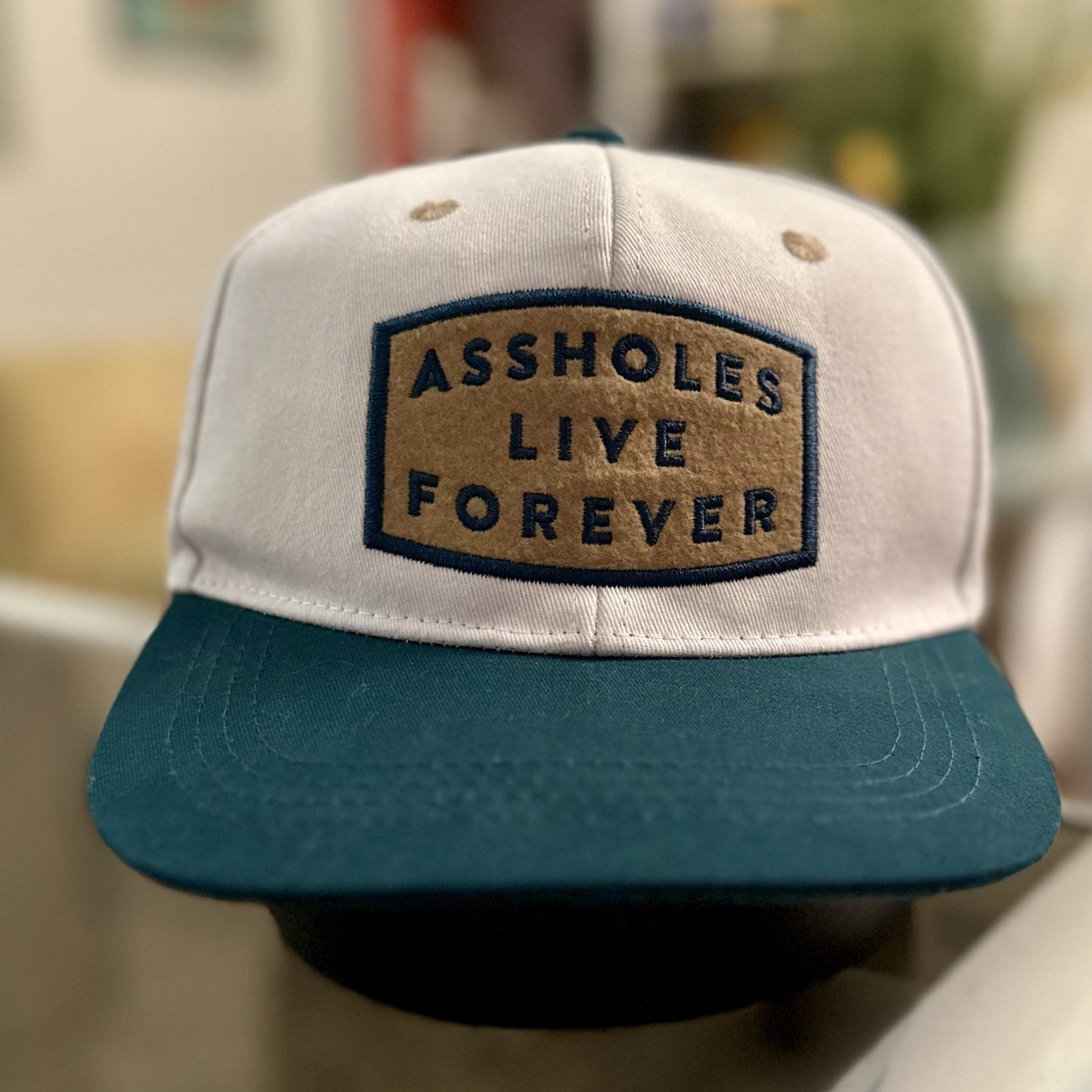 A$$holes Live Forever Hat Pre Owned Excellent Condition