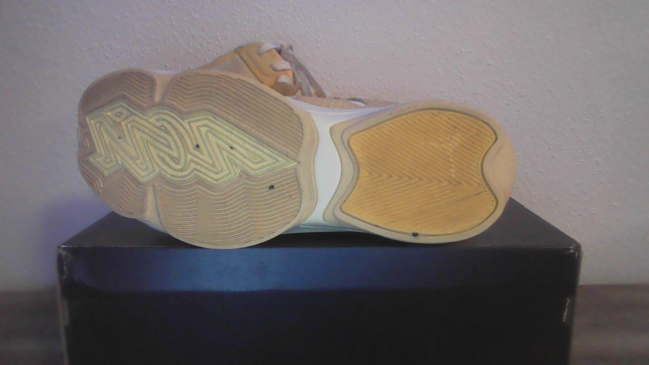 Size 9.5 – Air Jordan Zion 2 Full Moon