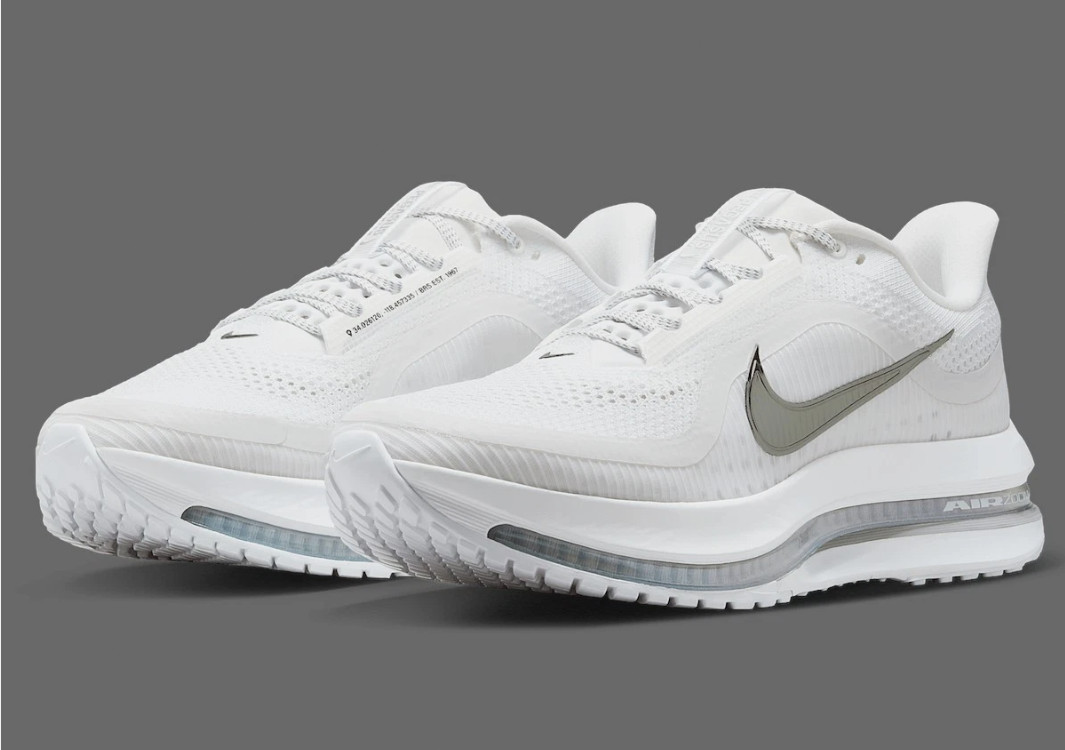 DS AIR Zoom Pegasus Premium Silver White Men’s Cushioned Running Shoes