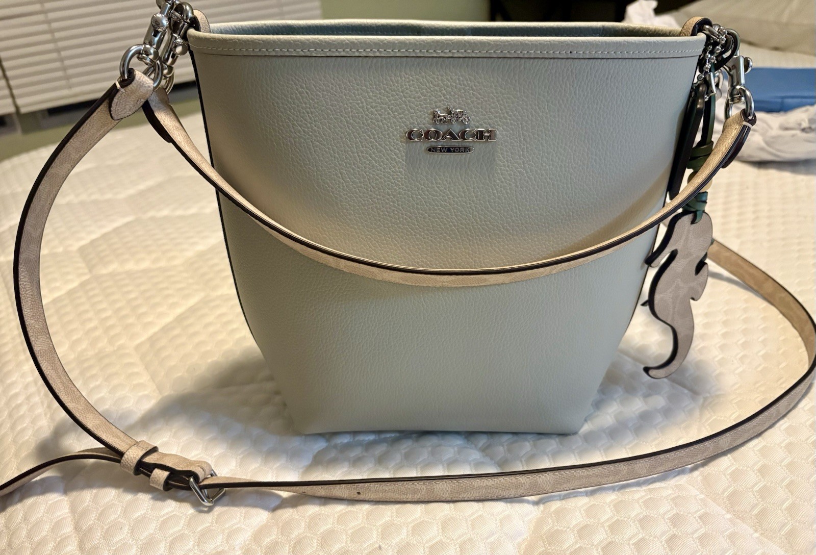 Coach City Bucket Bag With Seahorse Charm CBH75 Summer Pistachio Sand Color