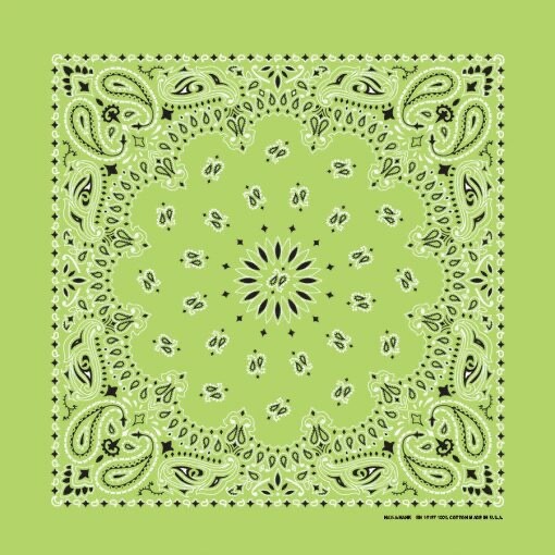 Lime Paisley 22×22 Bandanna