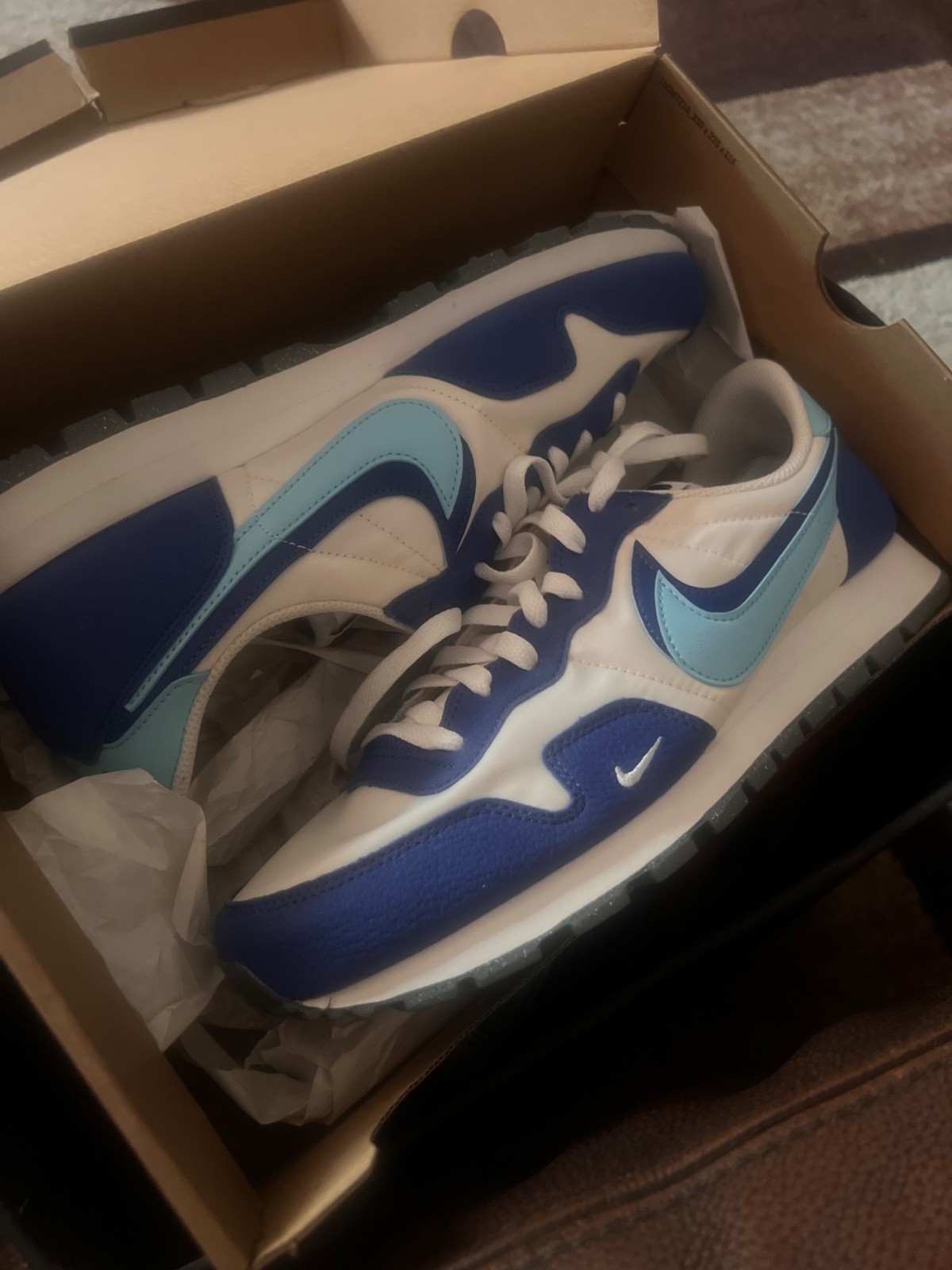 nike air pegasus 83 size 11 in men & 12 1/2 in women no marks haven’t been used.