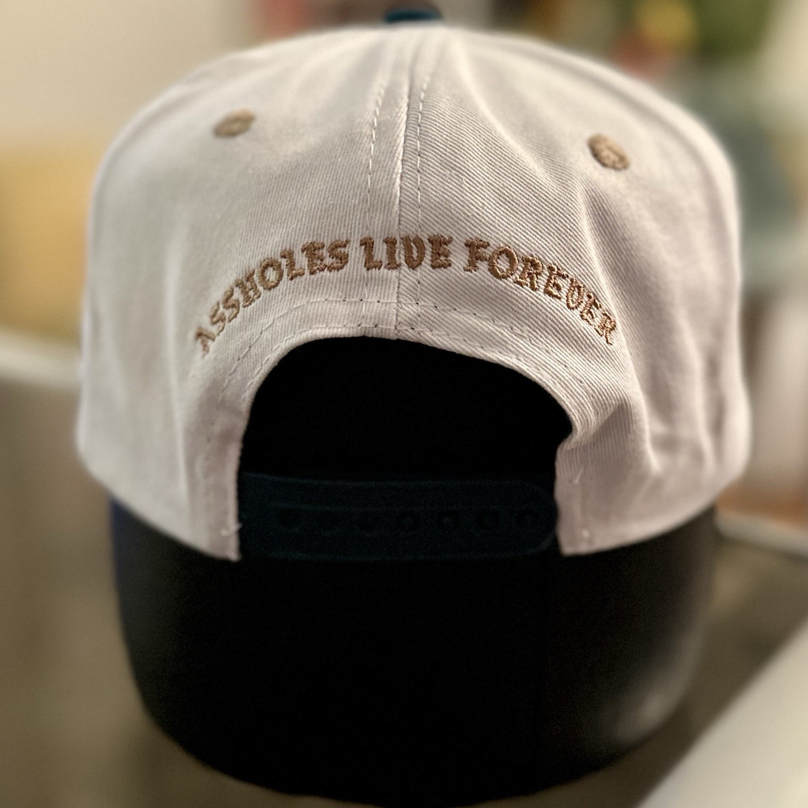A$$holes Live Forever Hat Pre Owned Excellent Condition