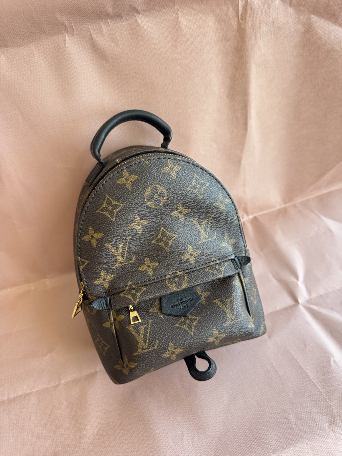 Louis Vuitton Palm Springs Backpack Mini Brown Canvas Monogram