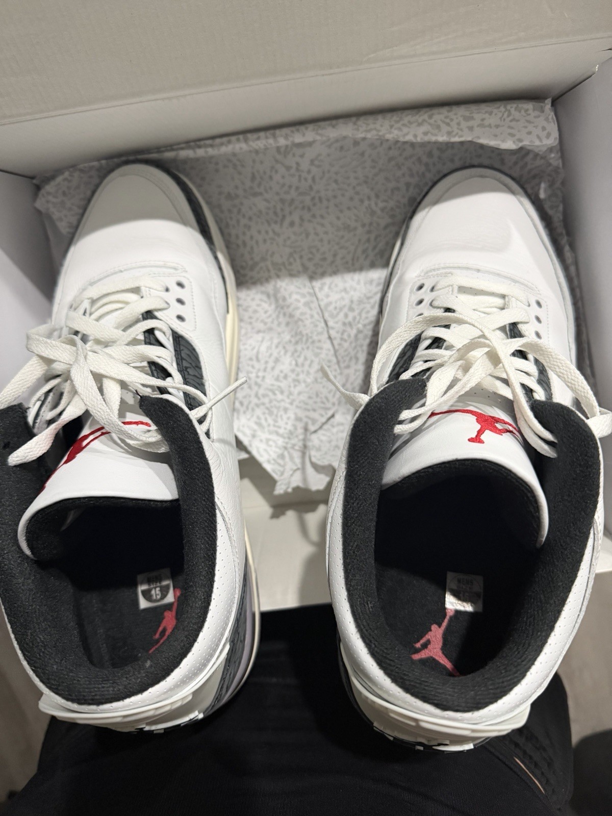 Jordan 3 Size 15
