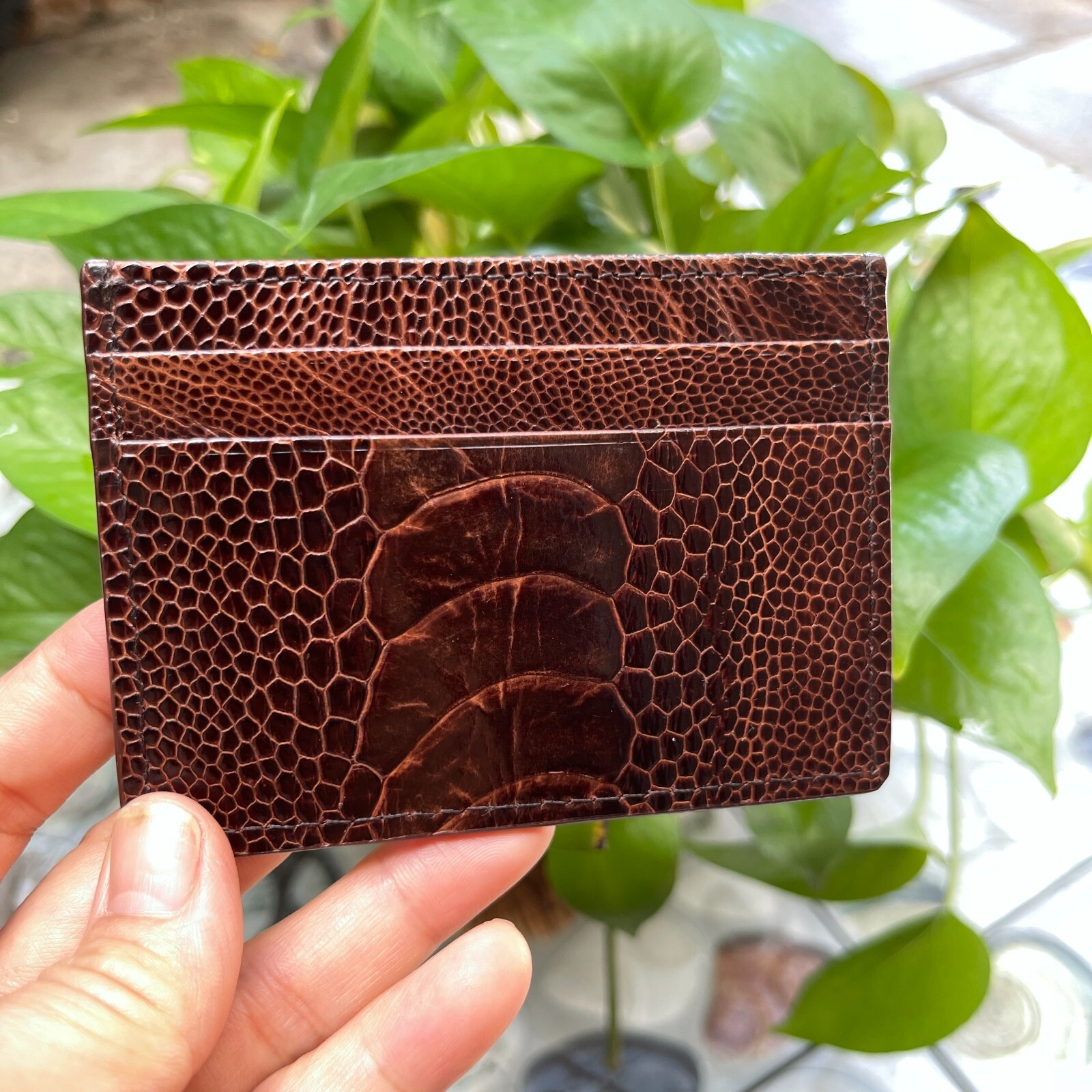 BrownGENUINE OSTRICH LEATHER SKIN CREDIT CARD HOLDER/ WALLET CARD HOLDER FOR MEN
