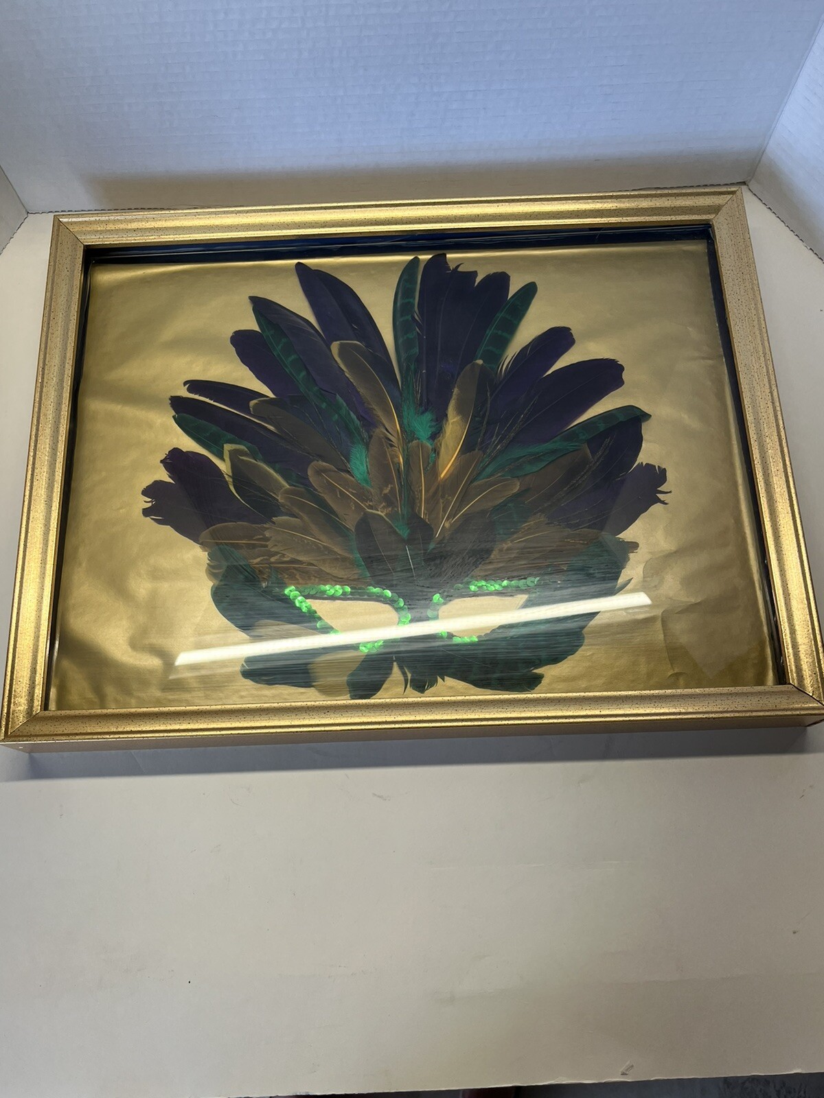 Handmade mask with peacock, coquil and pheasant feathers Framed Art 17 /13