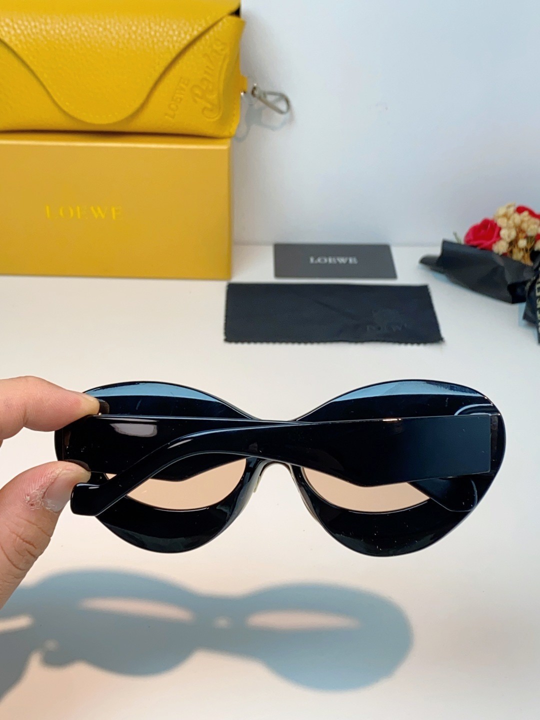 LOEWE Cat Eye Sunglasses Black Frame Light Pink Lens Double Rim Fashion Shades