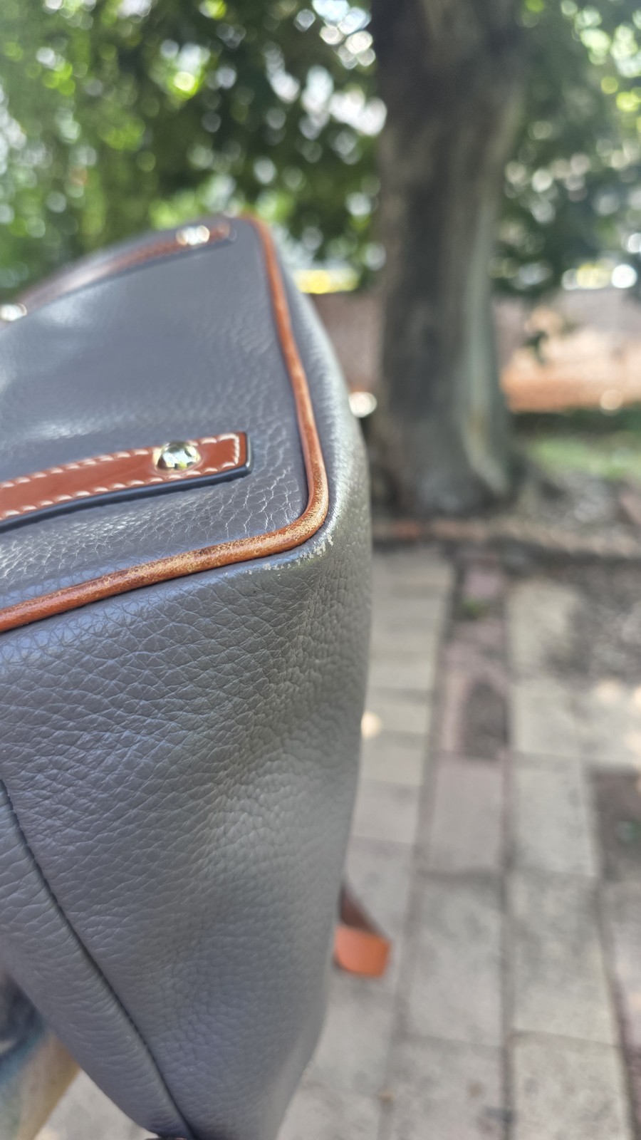 Dooney & Bourke Pebble Grain Zip Zip Satchel, Slate Gray (No Long Strap)