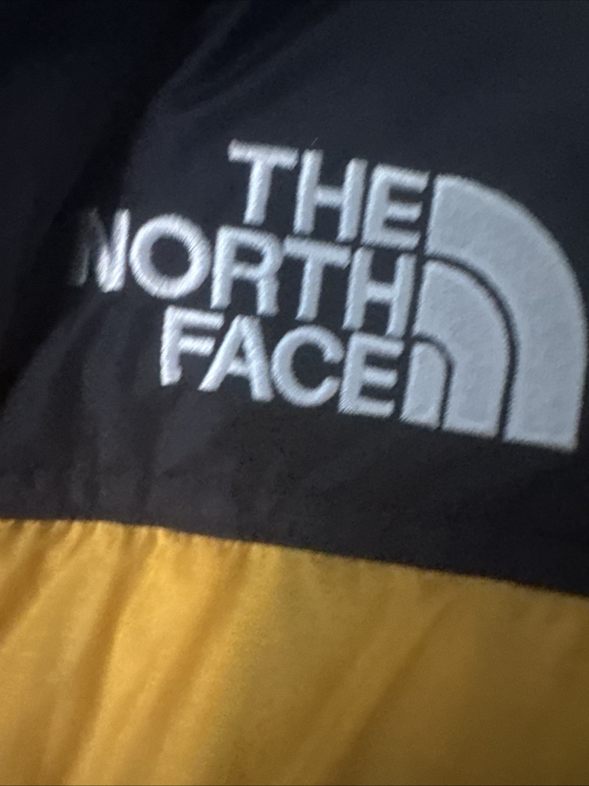The North Face 1996 Retro Nuptse 700 Jacket Arrowwood/Yellow Size: Medium