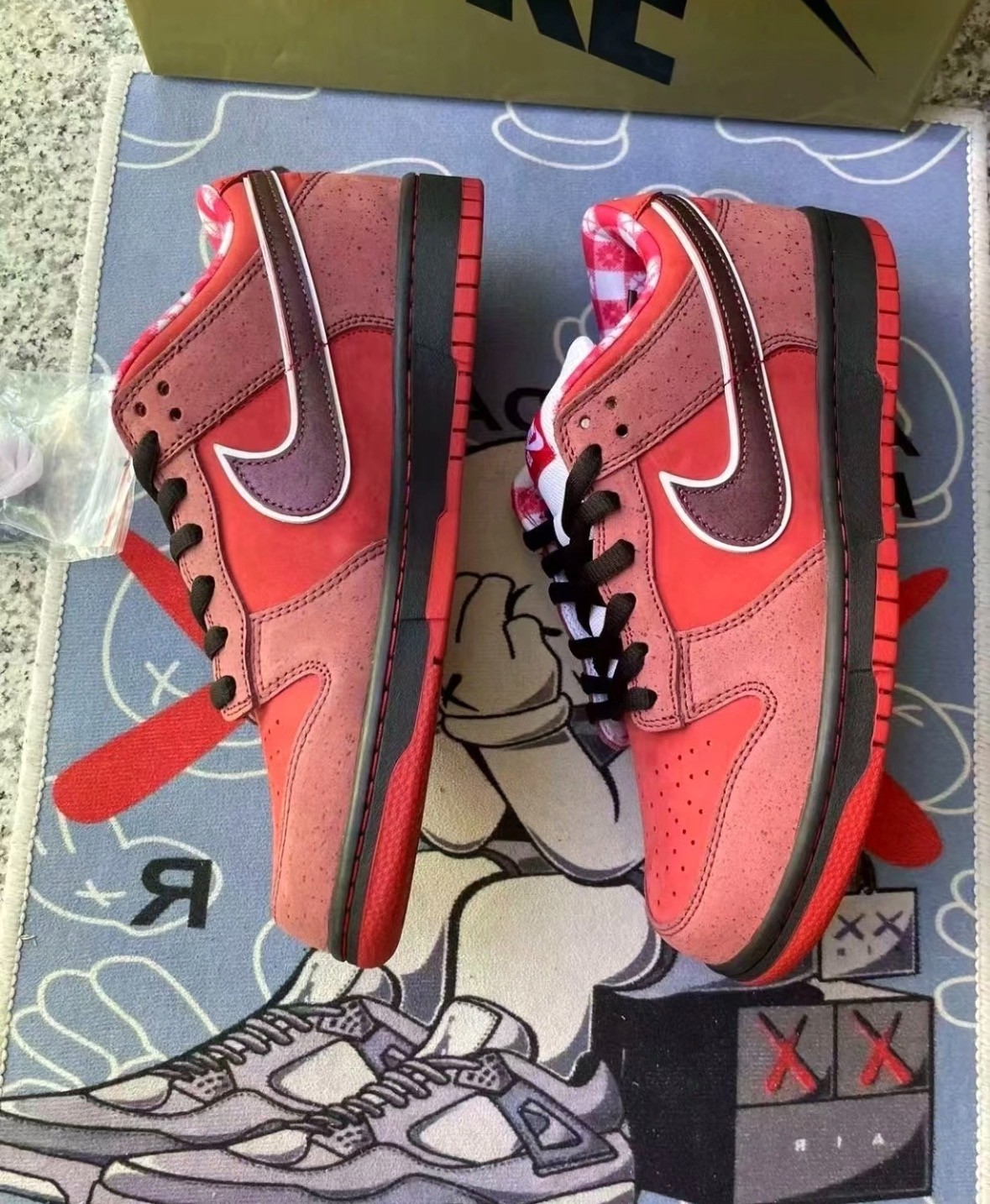 NEW Nike SB Dunk Low Concepts Red Lobster 313170-661