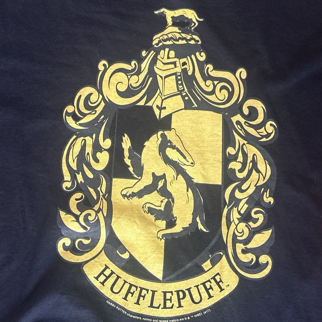 Harry Potter Black Hufflepuff T Shirt Medium Fruit Of The Loom