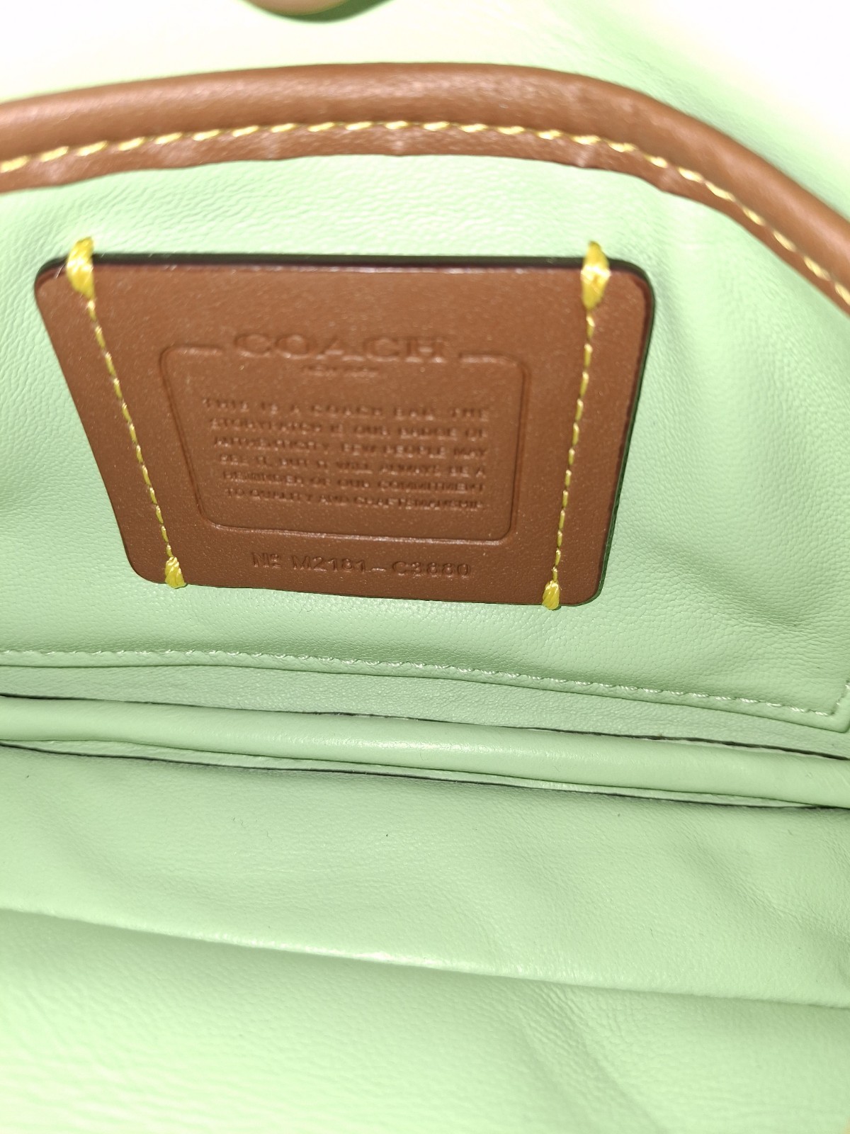Coach Tabby 18 Pillow Leather Shoulder Bag in Pale Pistachio C3880