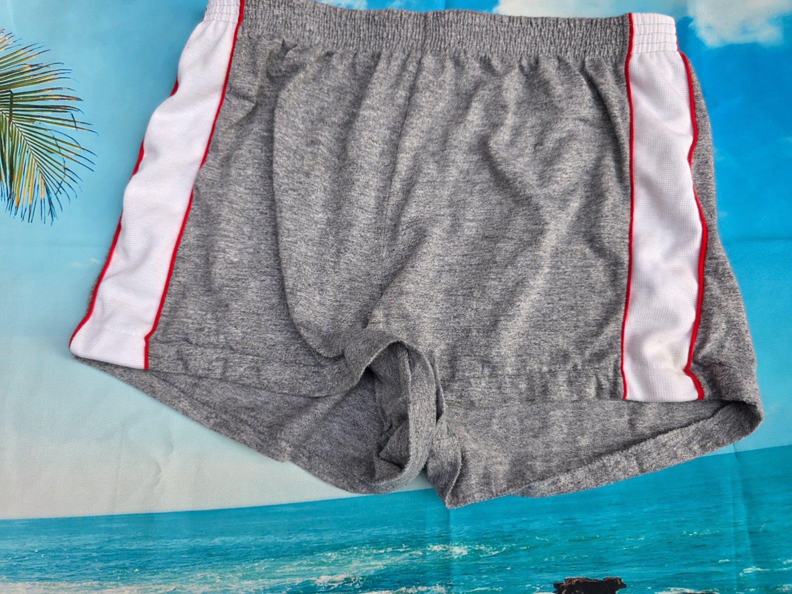 VINTAGE TIMBER LAKE CLASSICS MENS GRAY SHORTS SIZE MEDIUM COTTON
