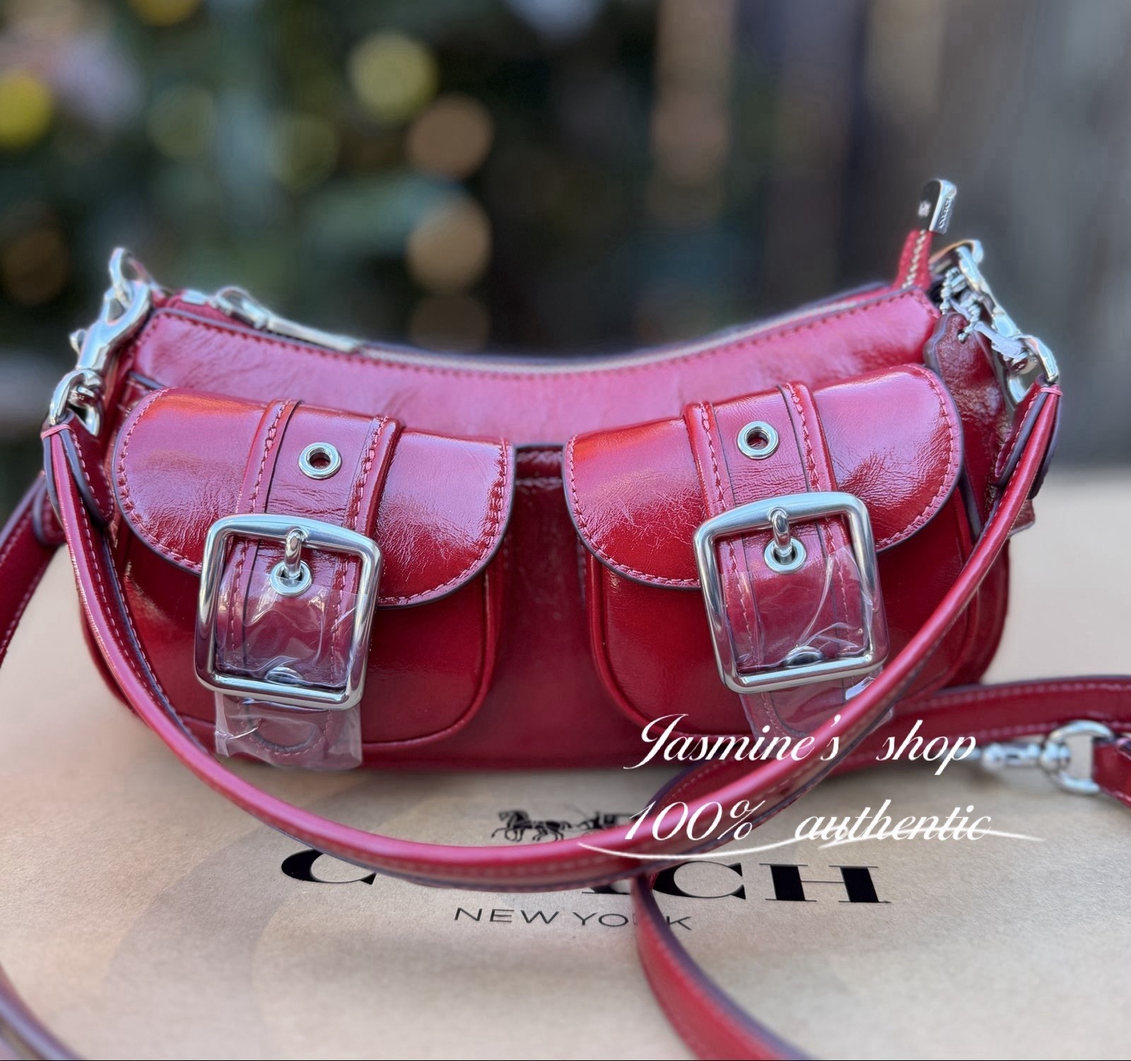 NWT Coach Ashton Bag Crossbody In Leather/Silver/Dark Cardinal Red CBJ01