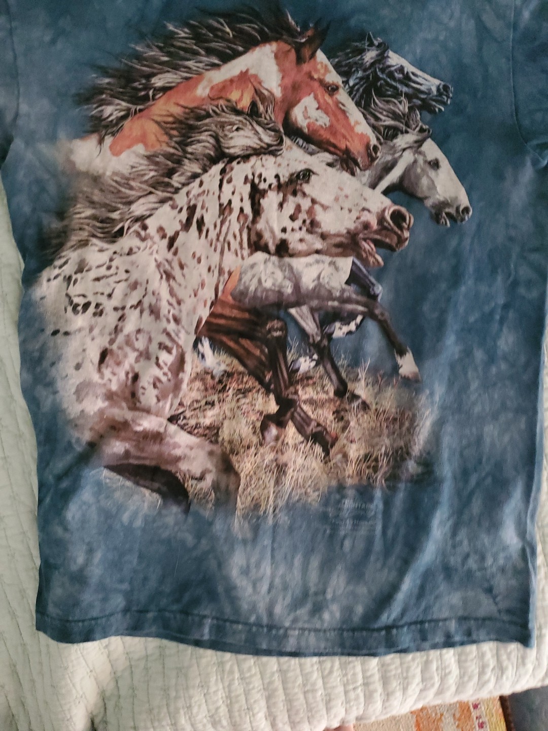 The Mountain Horse T Shirt Size Small Unisex Wild Horses 2012 “Find 15 Horses”