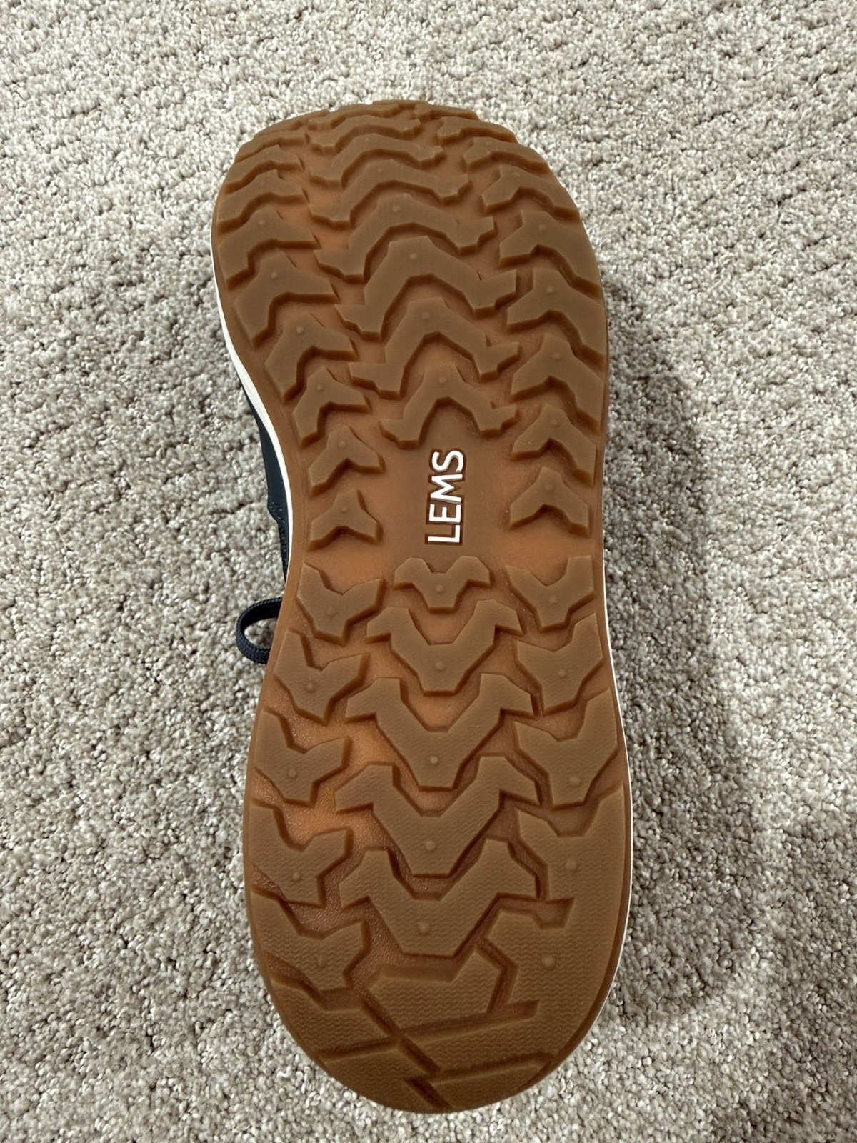 Lems Mesa Shoes – Men’s – Color: Coastal – Size 12