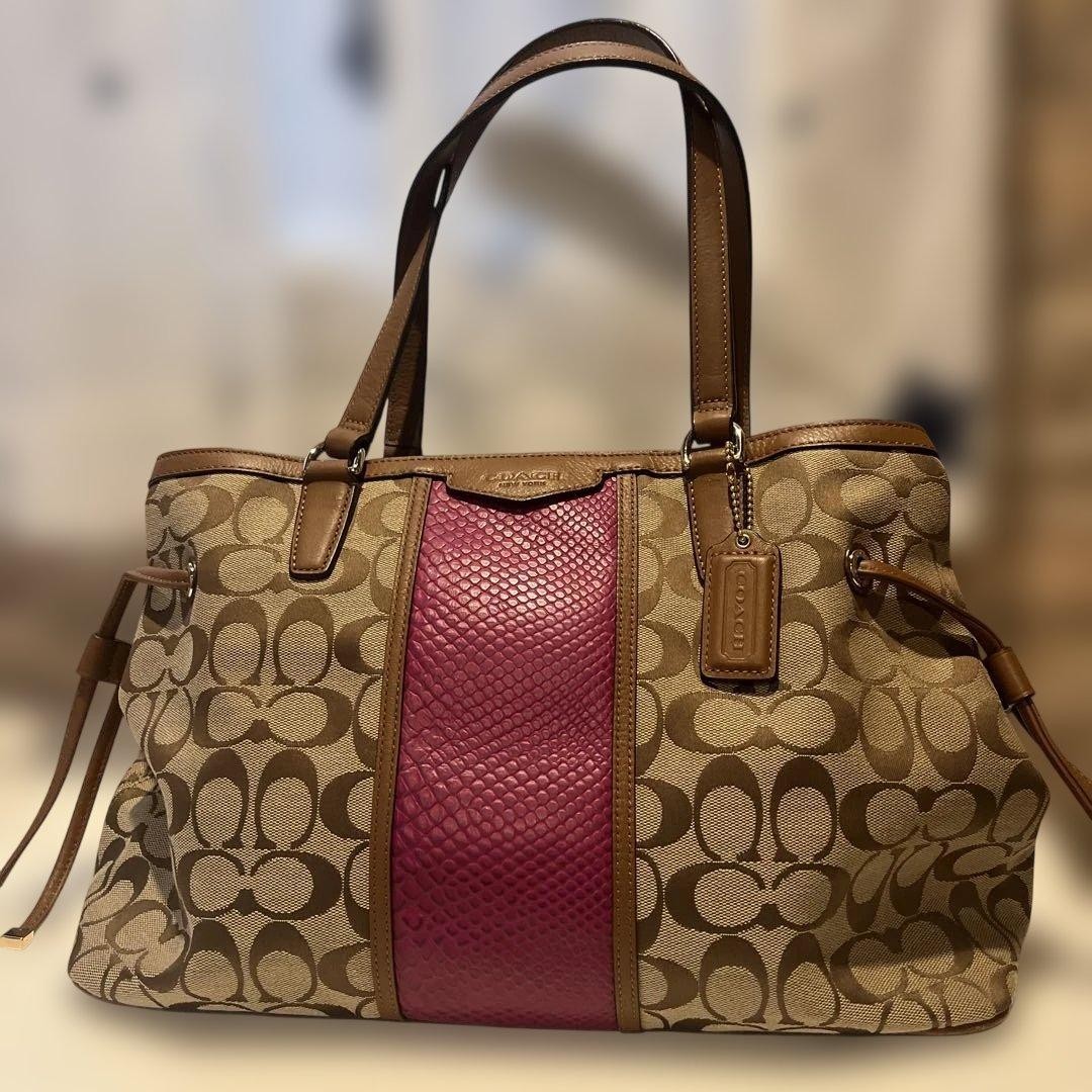 item COACH F29863 signature bag 10a