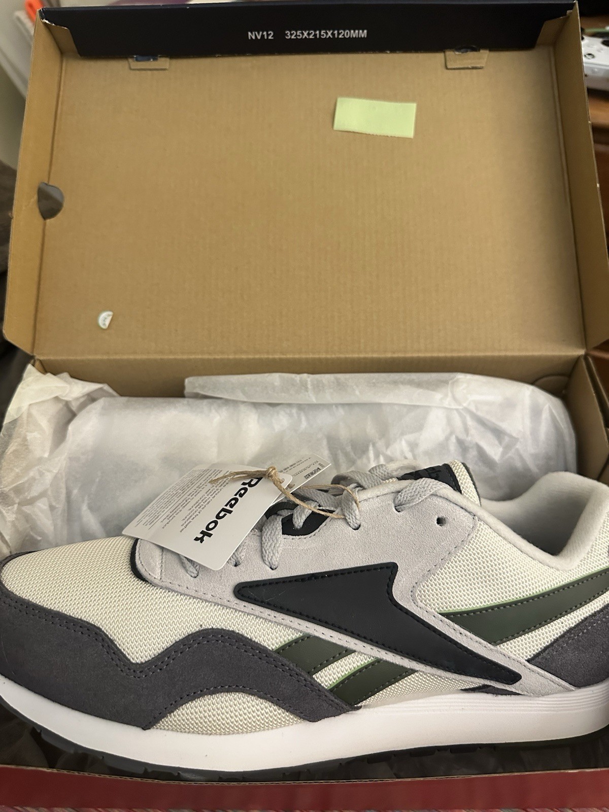 Reebok Classic Men’s Low Top Mesh Sneakers White/Gray/Green