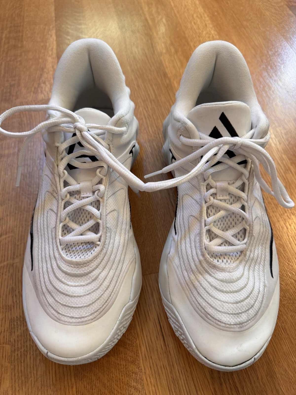 Nike Giannis Immortality 4 Humility Men’s Low Top Lace Up Mesh White/Black