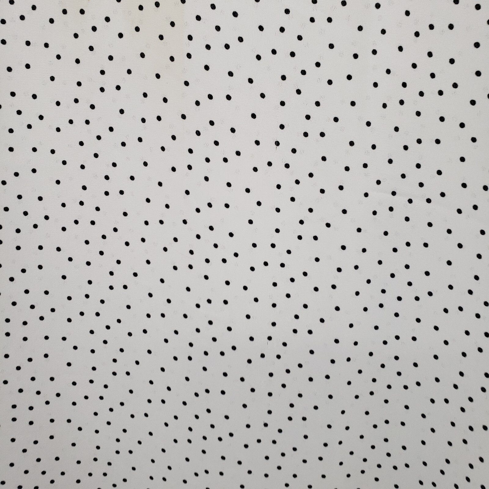 LOFT Large Polka Dot Blouse Womens White Black Button Accent Short Sleeve Top
