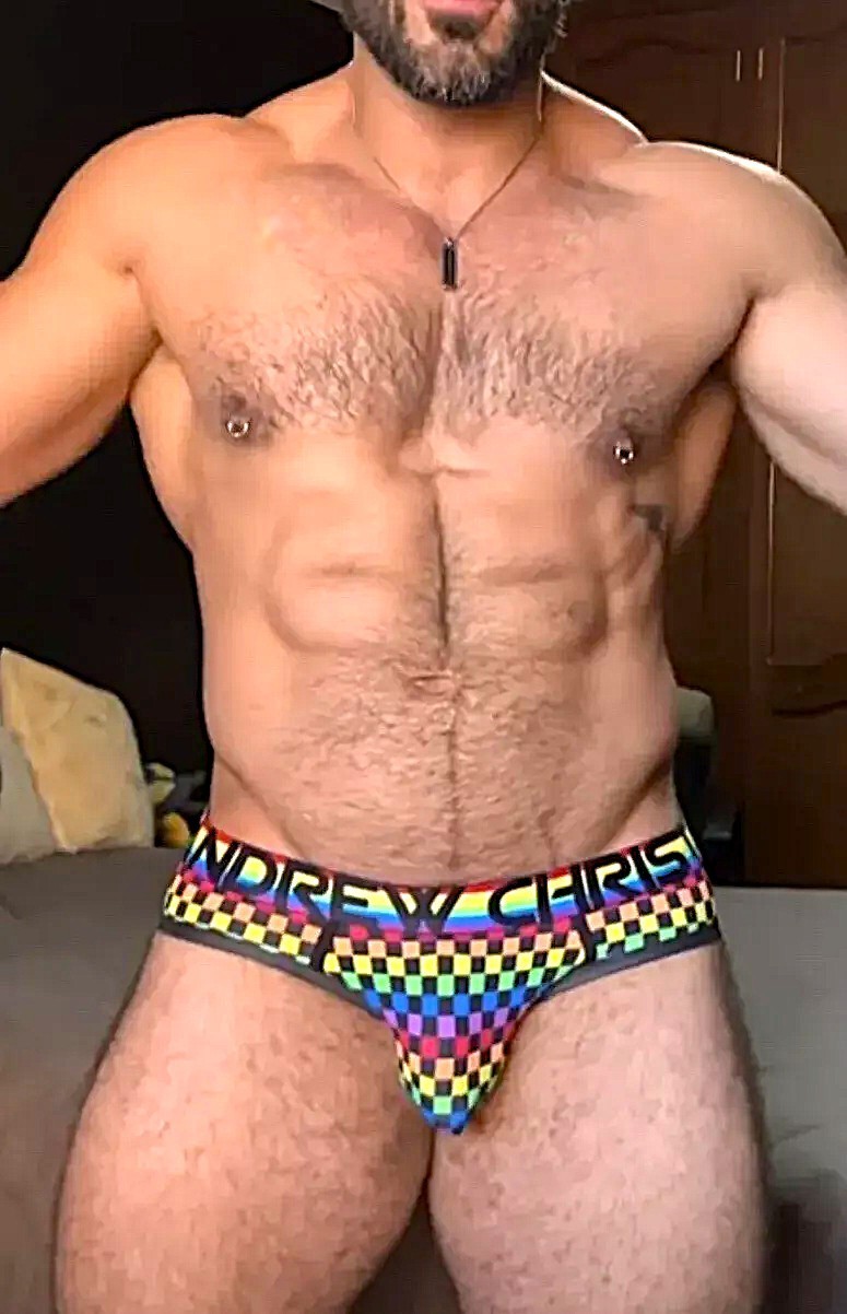 Andrew Christian Pride Checker Brief – 91780 – Small, Medium & Large