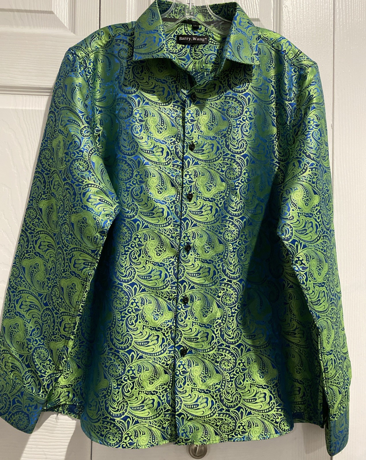 Barry Wang Green Blue Teal Paisley Silk Men’s Long Sleeve Dress Shirt Size L