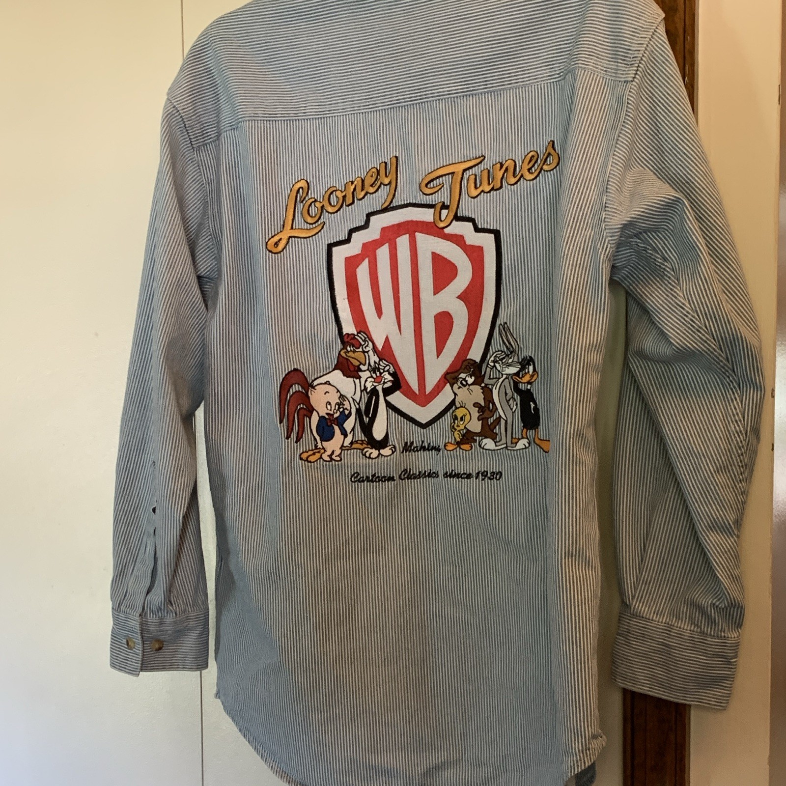 Warner Bros Looney Tunes Embroidered Blue White Striped Cotton Shirt S