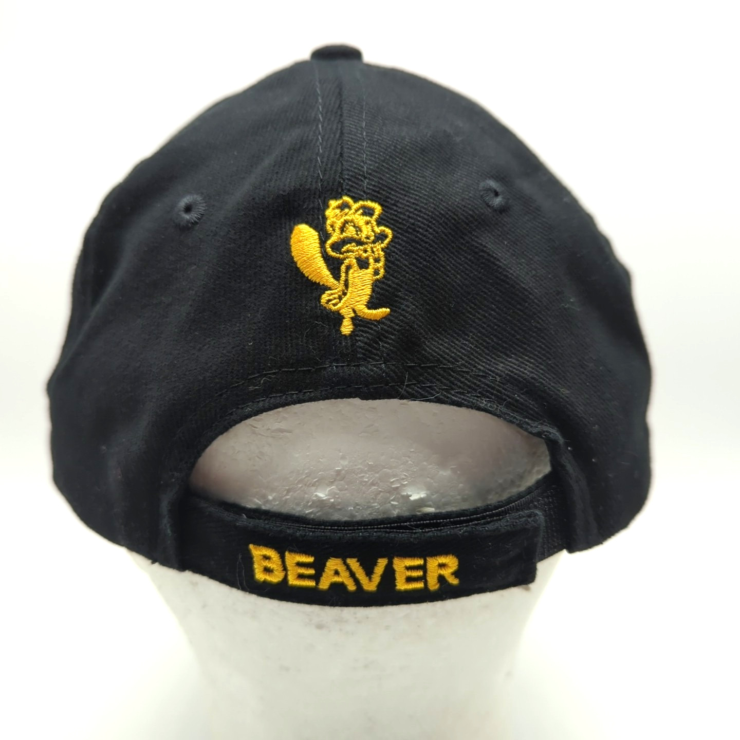 Beaver Research hat black adjustable cotton cap Chemical Maintenance Systems