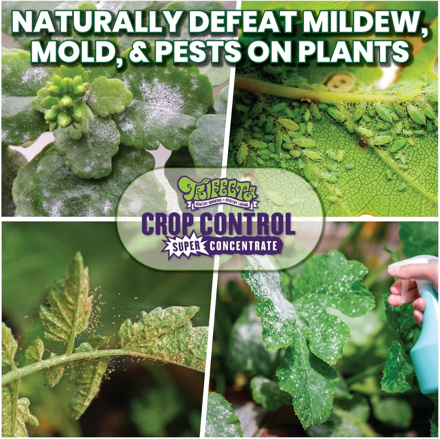 Trifecta Crop Control Super Concentrate All-in-One Natural Pesticide, Fungicide,