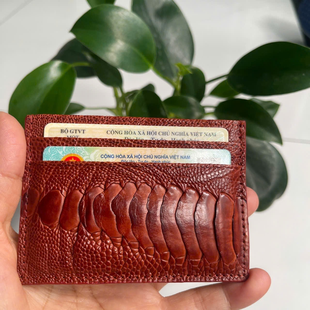 BrownGENUINE OSTRICH LEATHER SKIN CREDIT CARD HOLDER/ WALLET CARD HOLDER FOR MEN