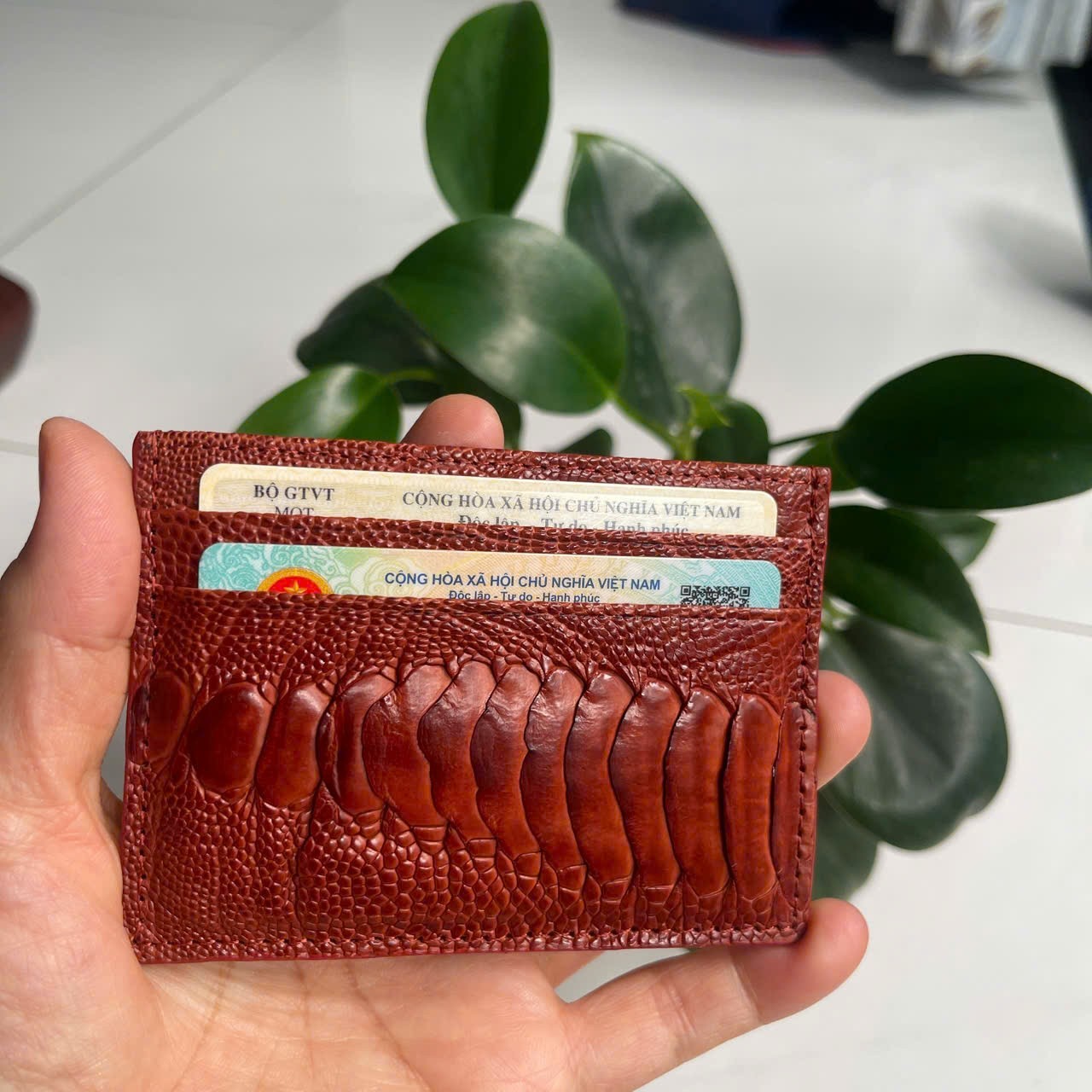 BrownGENUINE OSTRICH LEATHER SKIN CREDIT CARD HOLDER/ WALLET CARD HOLDER FOR MEN