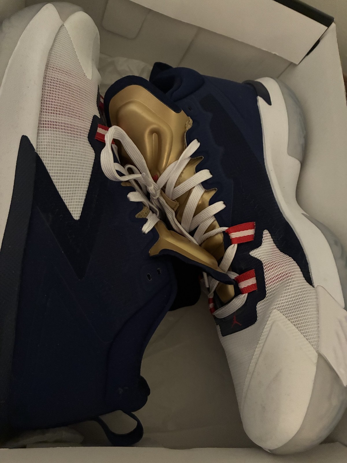 JORDAN ZION FREAK 1 – PELICANS COLORS 11.5