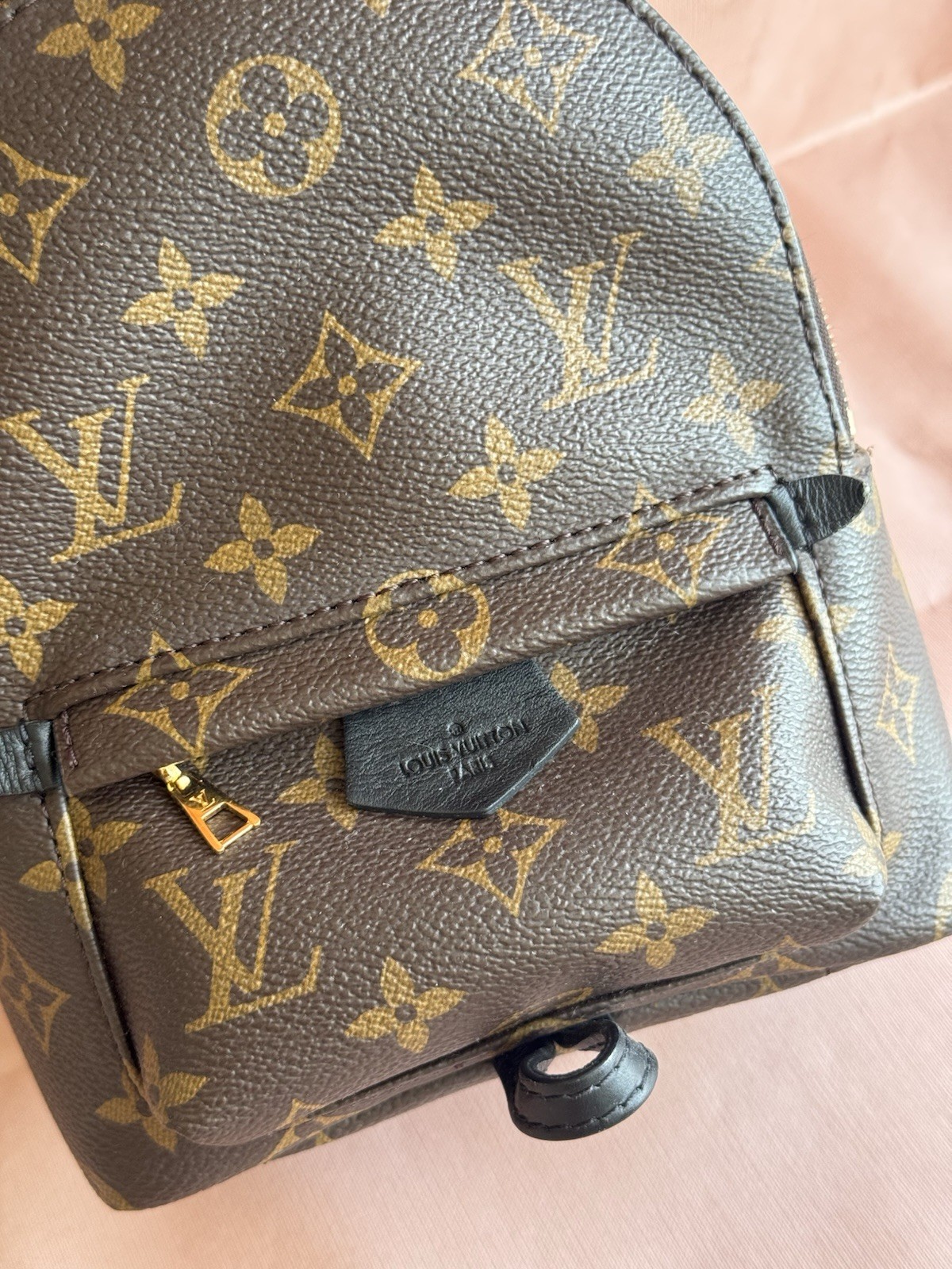 Louis Vuitton Palm Springs Backpack Mini Brown Canvas Monogram