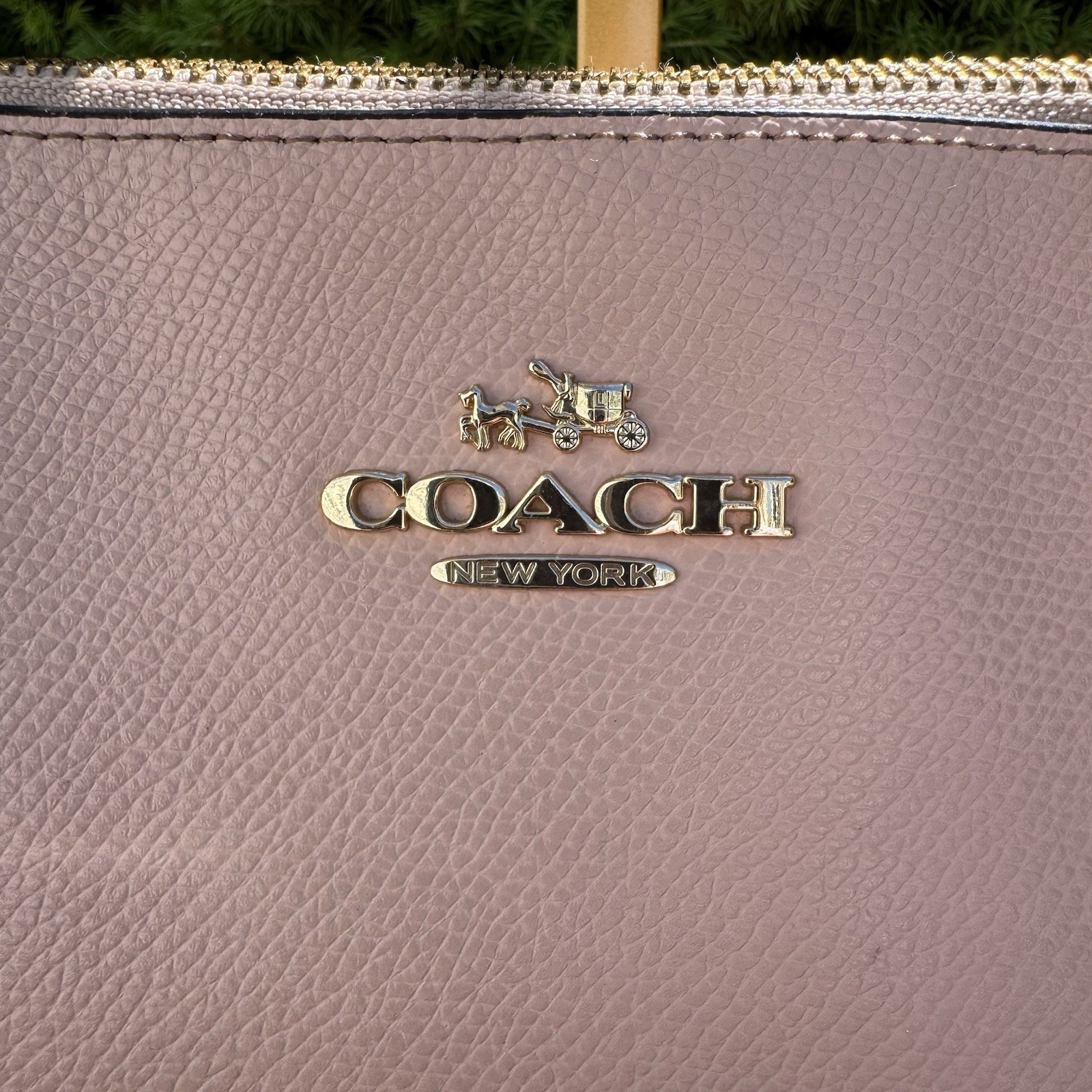 Coach Ava Chain Tote Handbag Pink Pebbled Leather