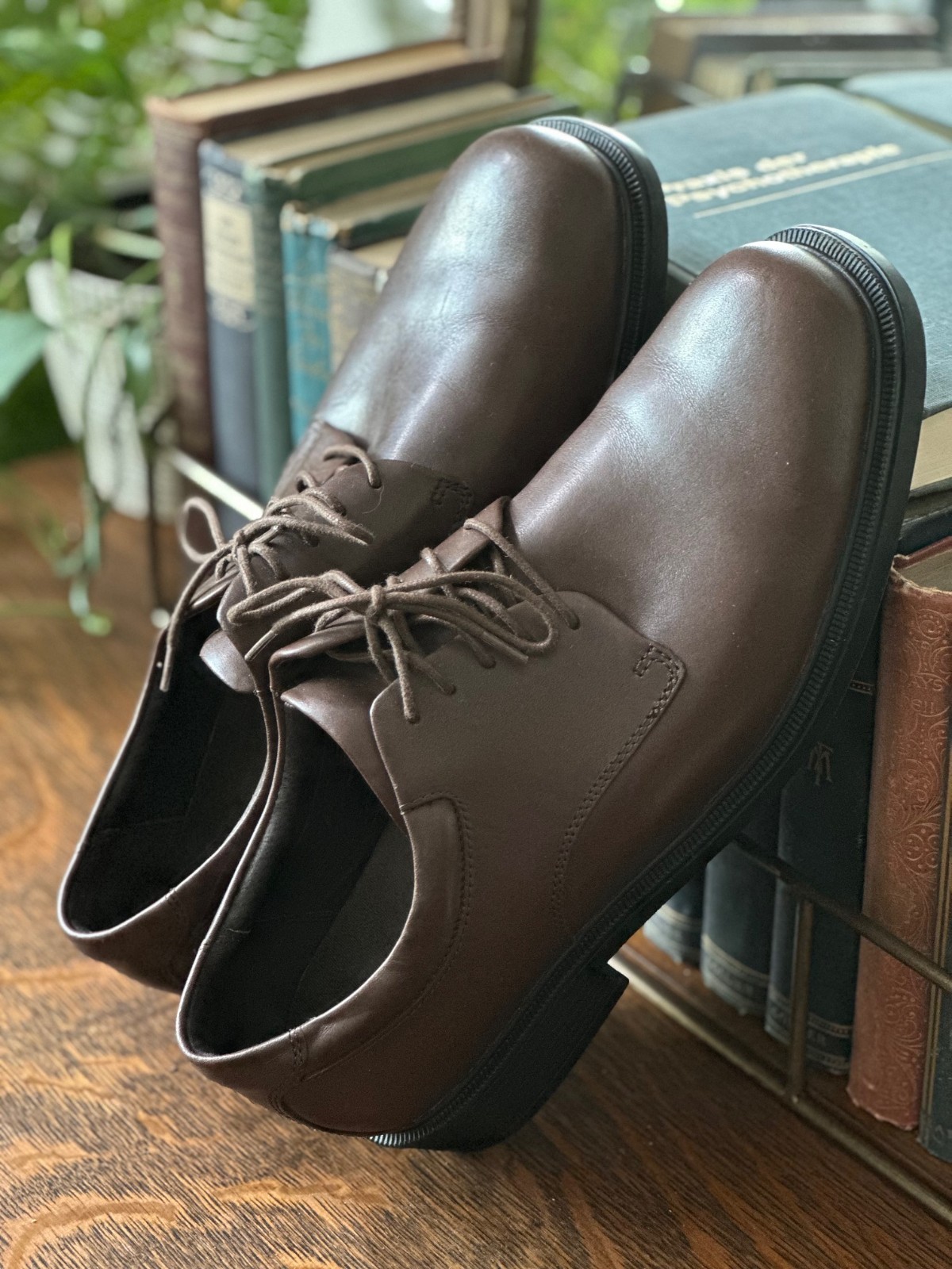 Rockport Men’s Margin Oxford Size 11.5 in Chocolate Brown, Excellent Condition