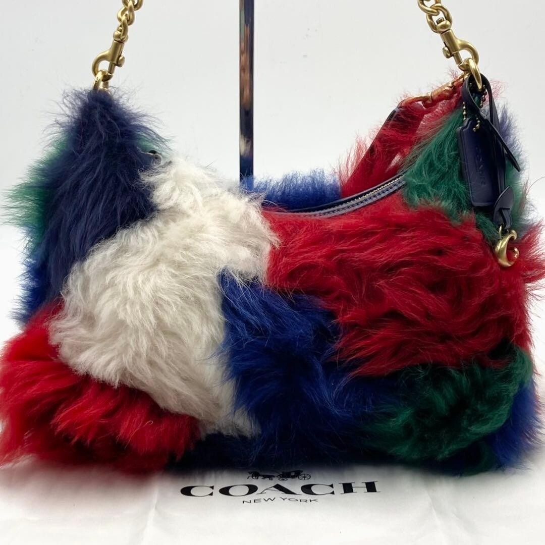 Coach Juliet 25 2 Way Shoulder Bag Blue White Green Red Fur Leather CW646