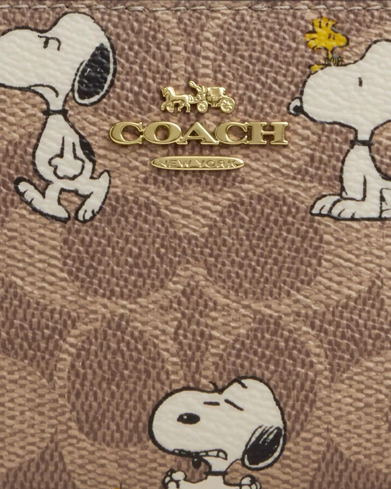 NWT Coach X Peanuts Snap Wallet In Signature Canvas With Snoopy Print CBN32 A
