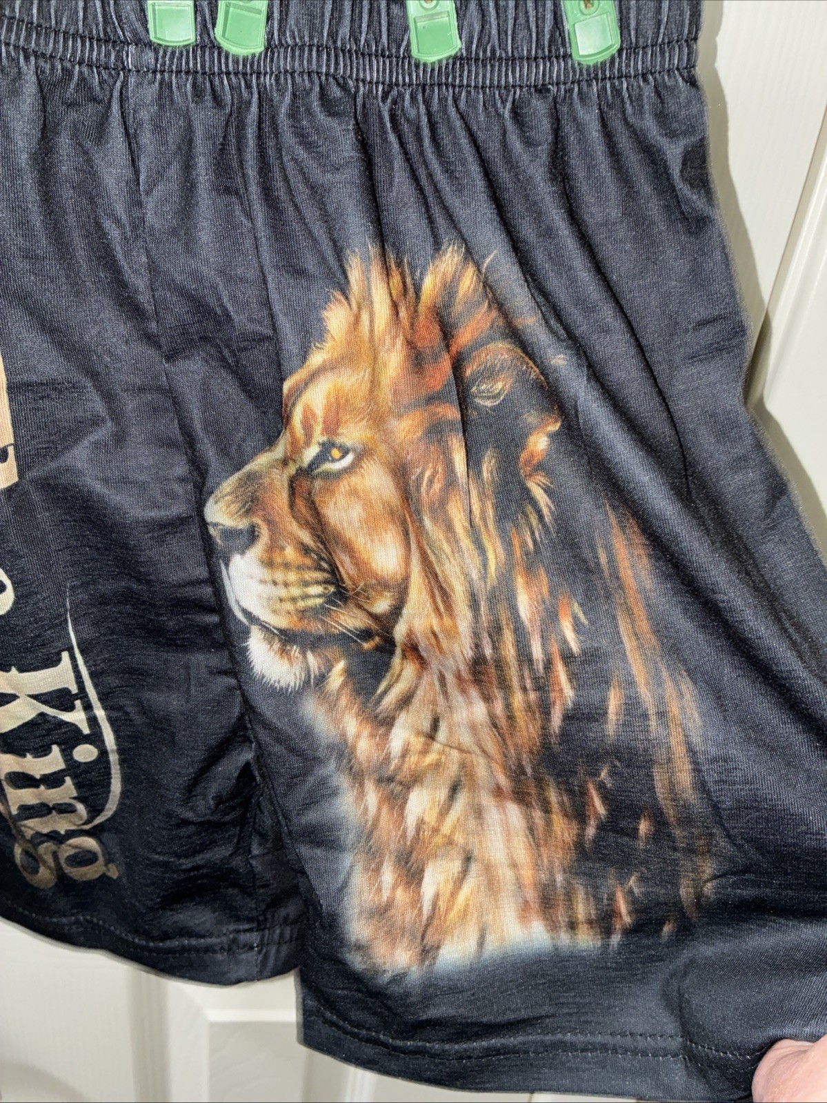 Boys Short Set Size5-6 Y The King Loin 🐅👀👑 Cute