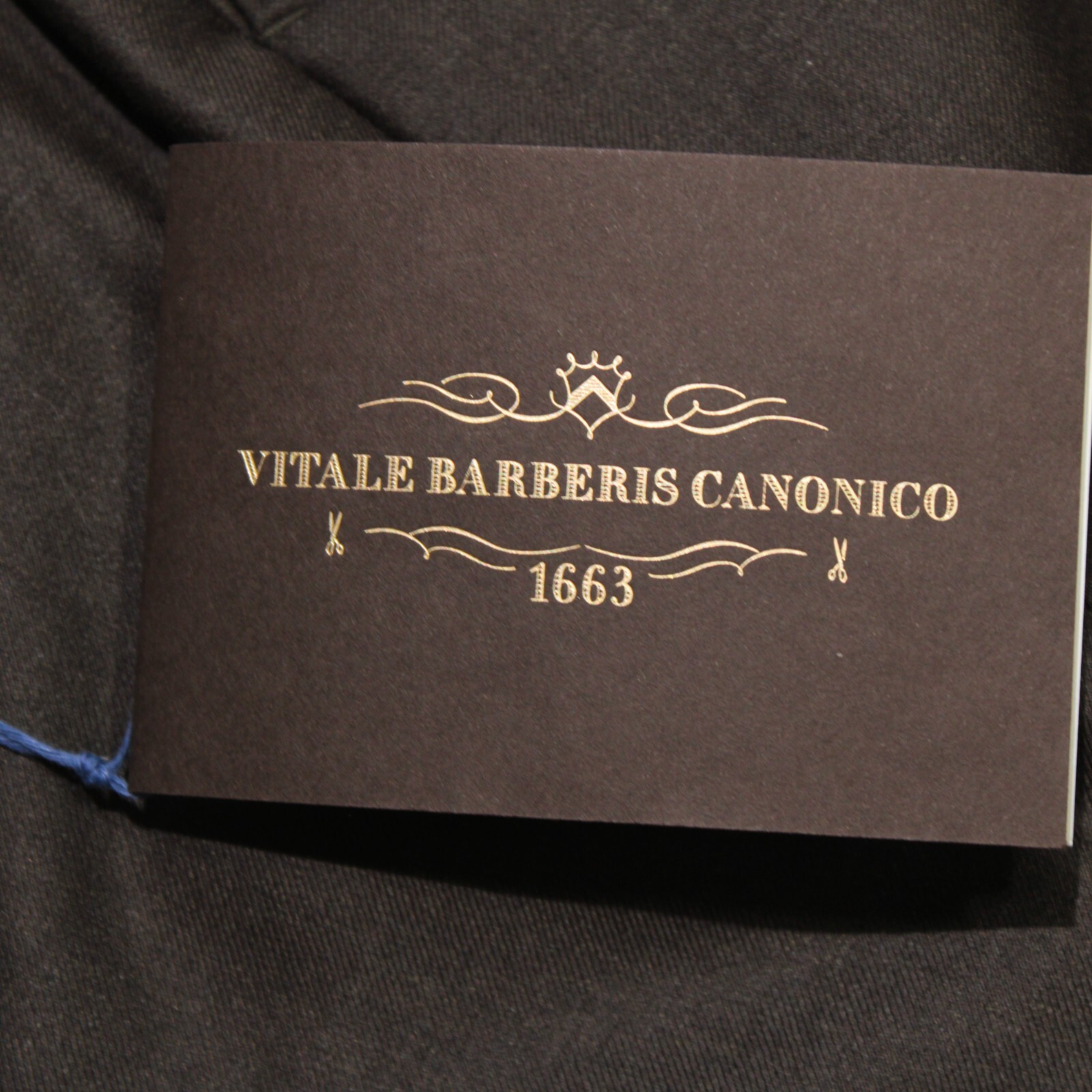 Hiltl NWOT Vitale Barberis Canonico Wool Dress Pants Size 32 US DiBiella Brown